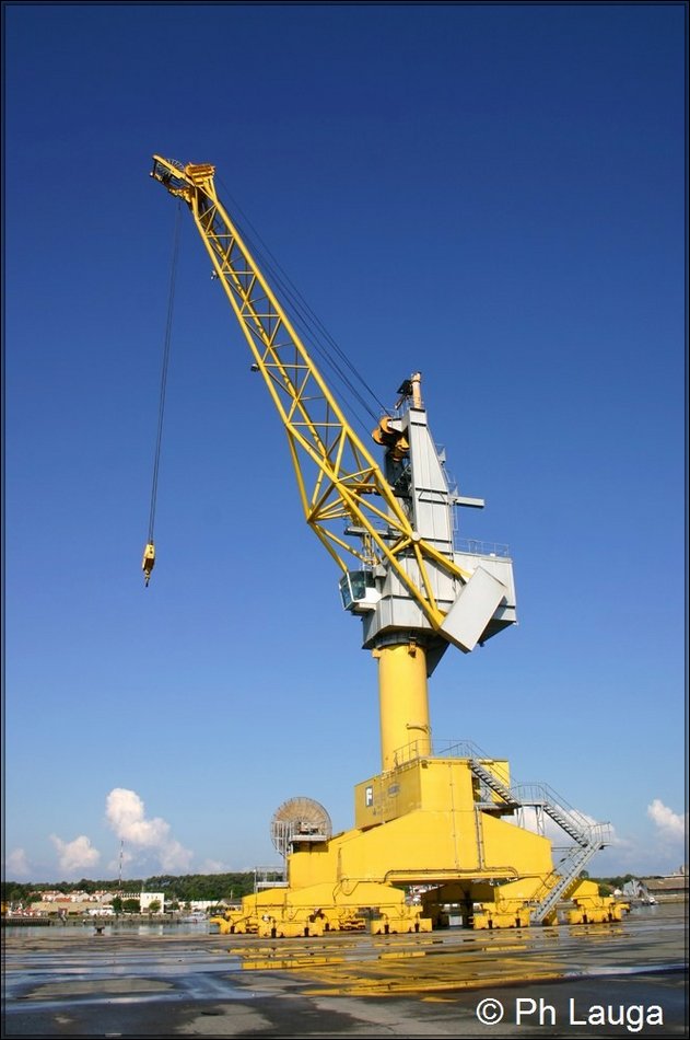 grues-002.jpg