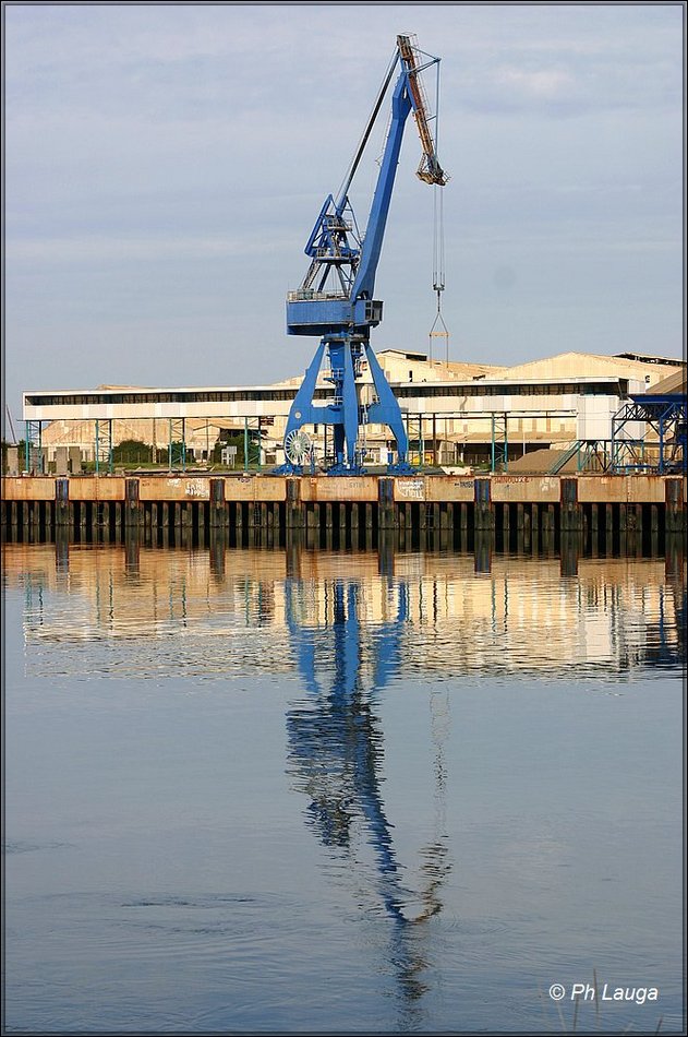 grues-003.jpg