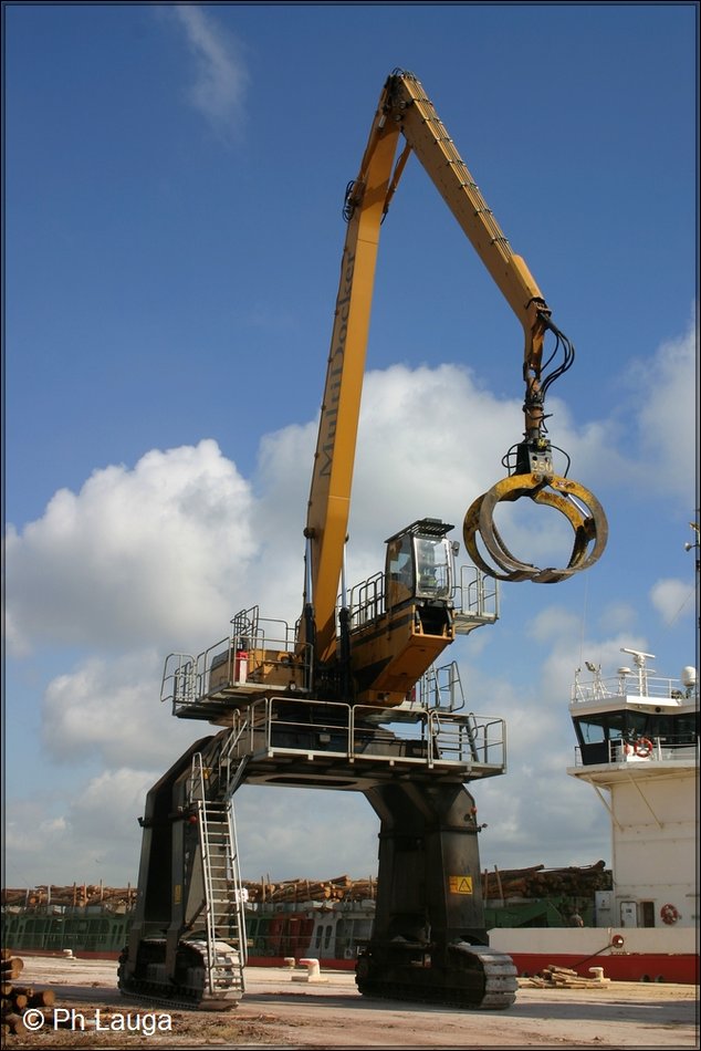 grues-004.jpg