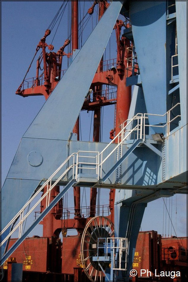 grues-005.jpg