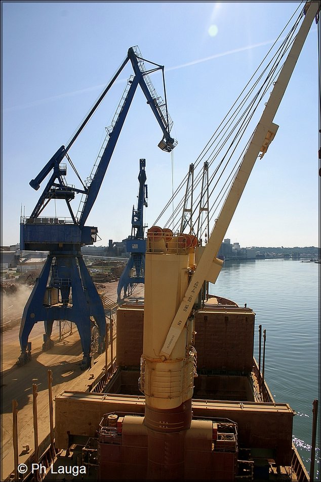 grues-006.jpg