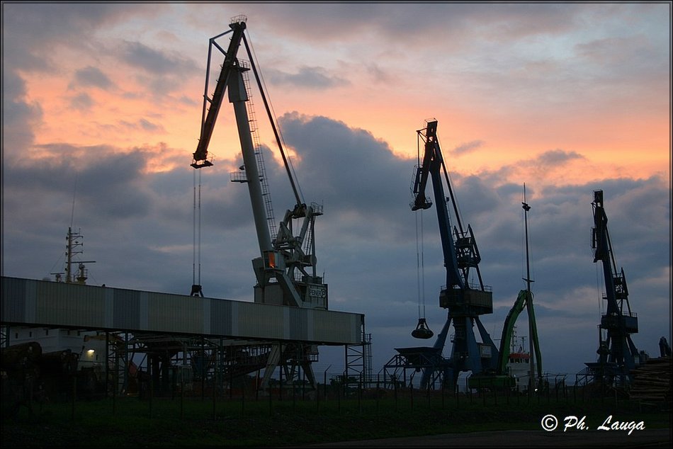 grues-008.jpg