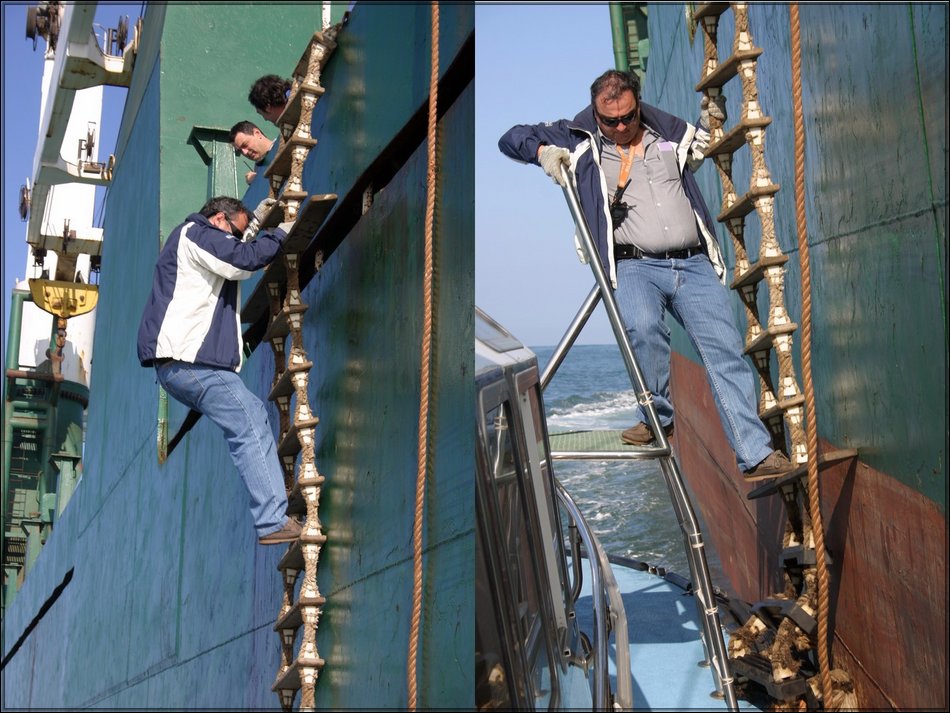 pilotage-georges_strullu.jpg