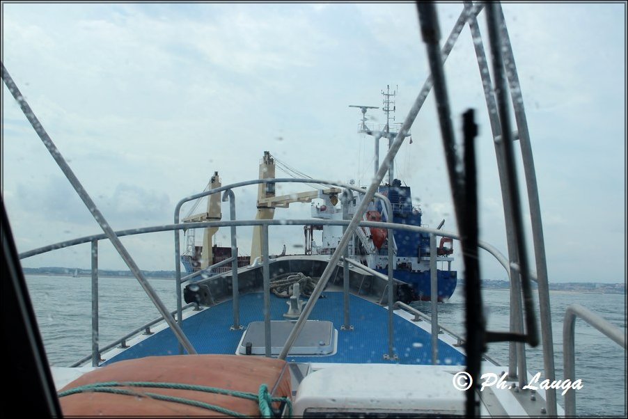 pilotine-016.jpg