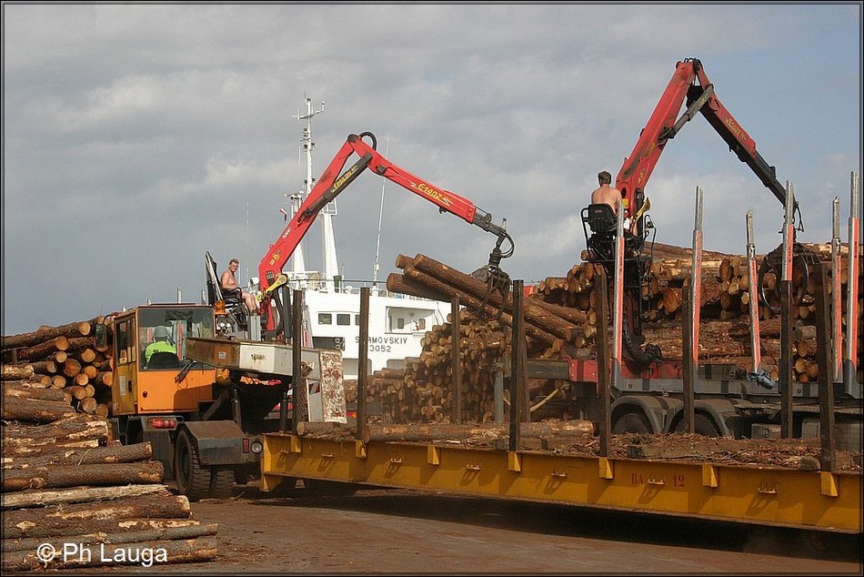 port_bois-01.jpg