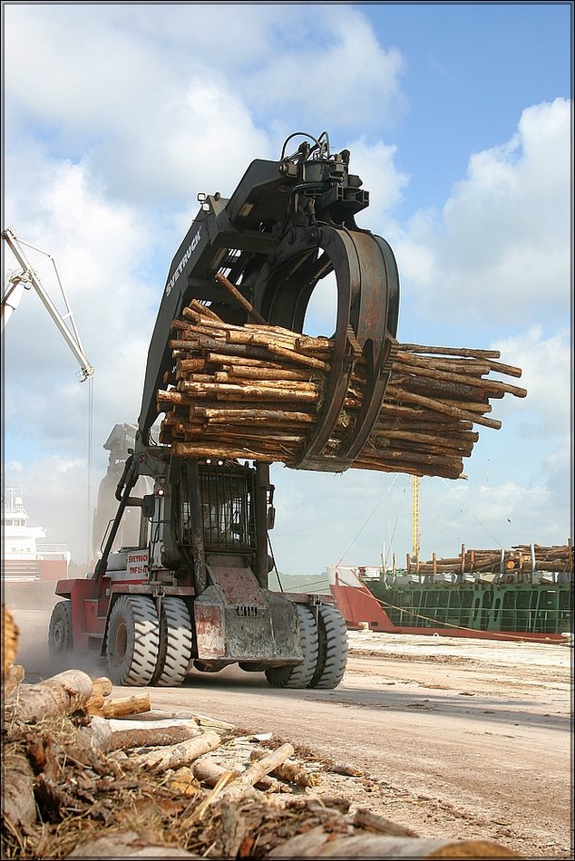 port_bois-13.jpg