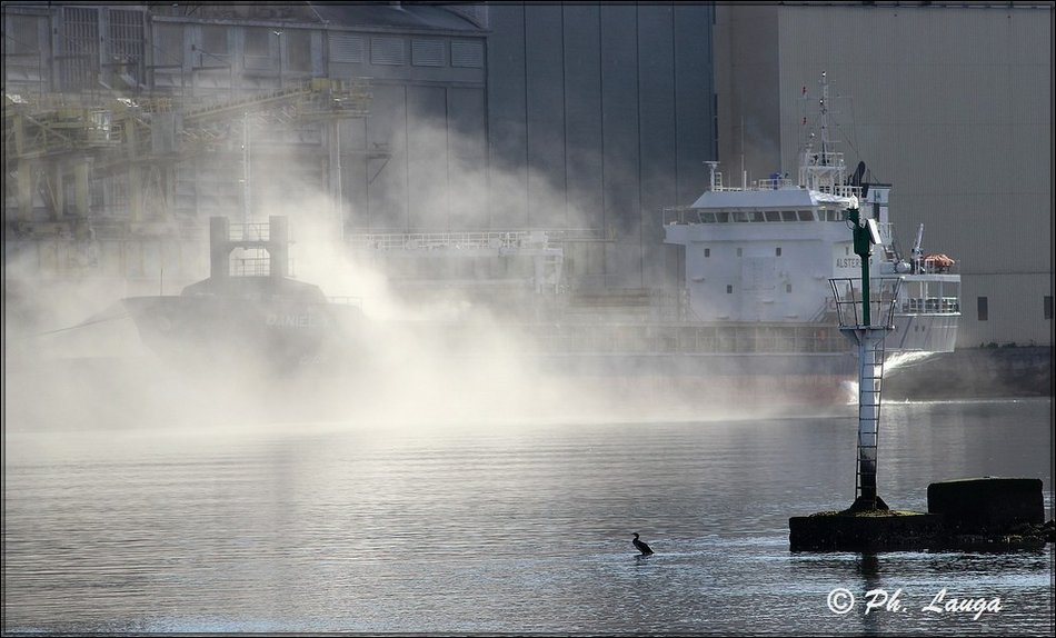 port_mais-03.jpg