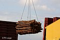port_bois-05.jpg