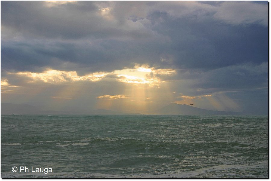 ocean-009.jpg