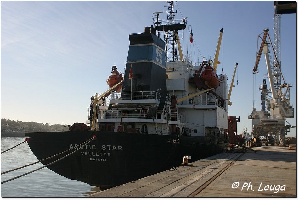 arctic-star-03.jpg