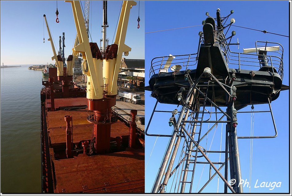 arctic-star-08.jpg