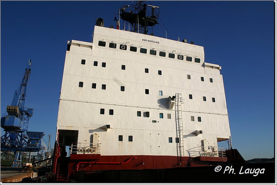 arctic-star-13.jpg