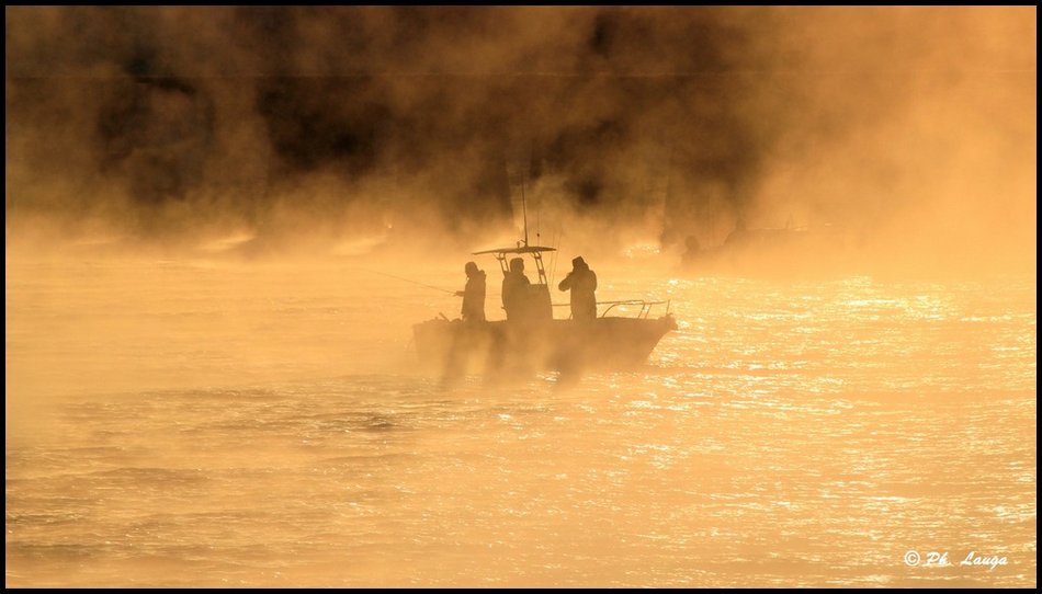 brouillard-03.jpg