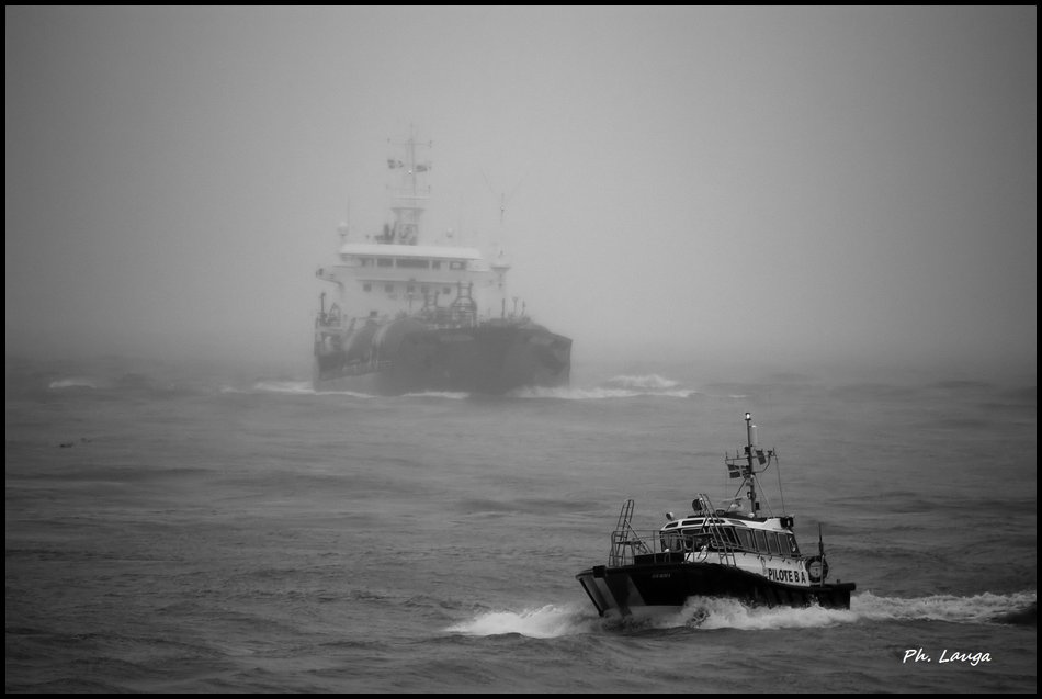 brouillard-04.jpg