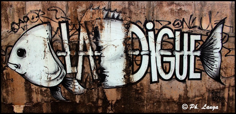 digue-03.jpg