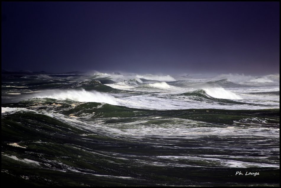 ocean-01.jpg