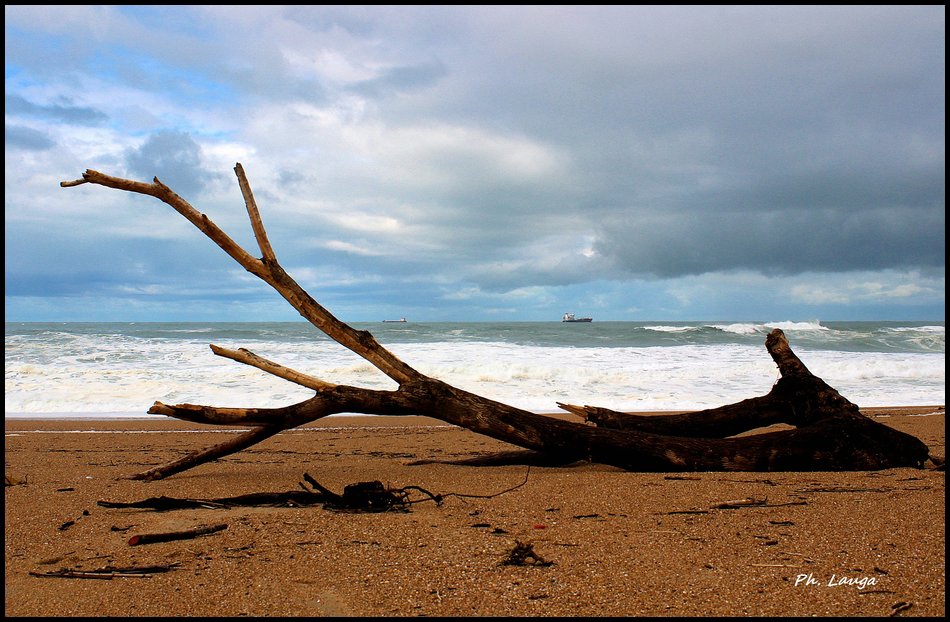 ocean-02.jpg