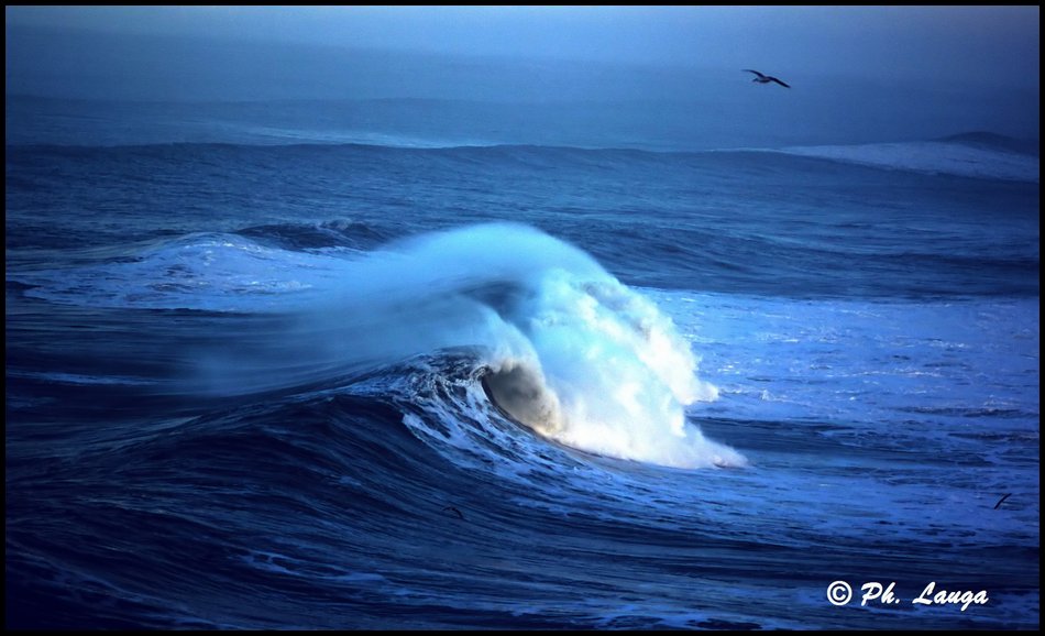 ocean-06.jpg