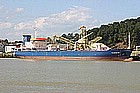 charlotte03.jpg