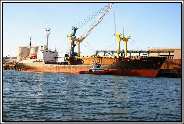 02 Pioner Koly.jpg