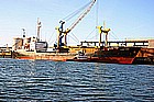 02 Pioner Koly.jpg