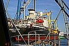 03 Pioner Koly.jpg