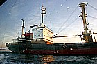 16  Pioner Koly.jpg