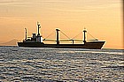 20 Pioner Koly.jpg