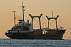 22 Pioner Koly.jpg