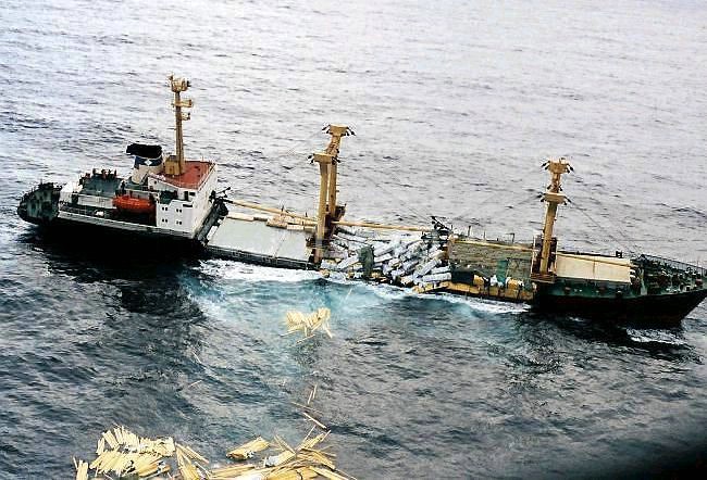 bp01.jpg