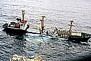 bp01.jpg