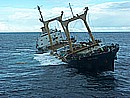 bp02.JPG