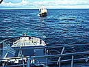 bp06.JPG