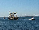 bp08.jpg
