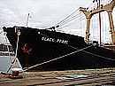bp21.jpg