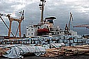 bp28.jpg