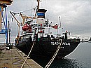 bp31.jpg