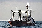 471_7126.JPG