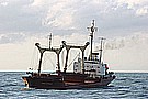 471_7127.JPG