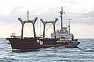 471_7131.JPG