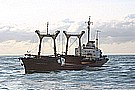 471_7133.JPG