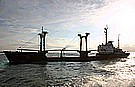 471_7135.JPG