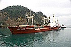 pk09.jpg