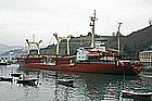 pk14.jpg