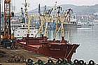 pk20.jpg